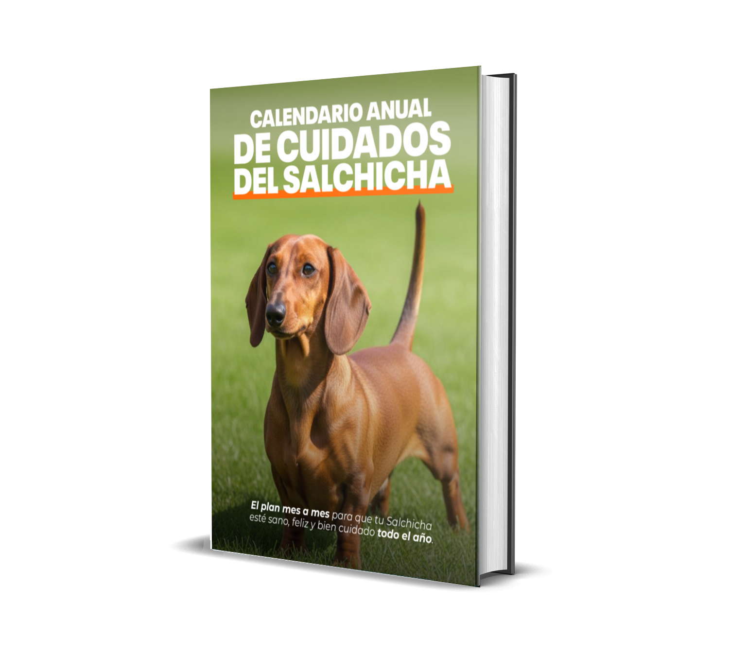 Libro: Calendario anual de cuidados del Salchicha
