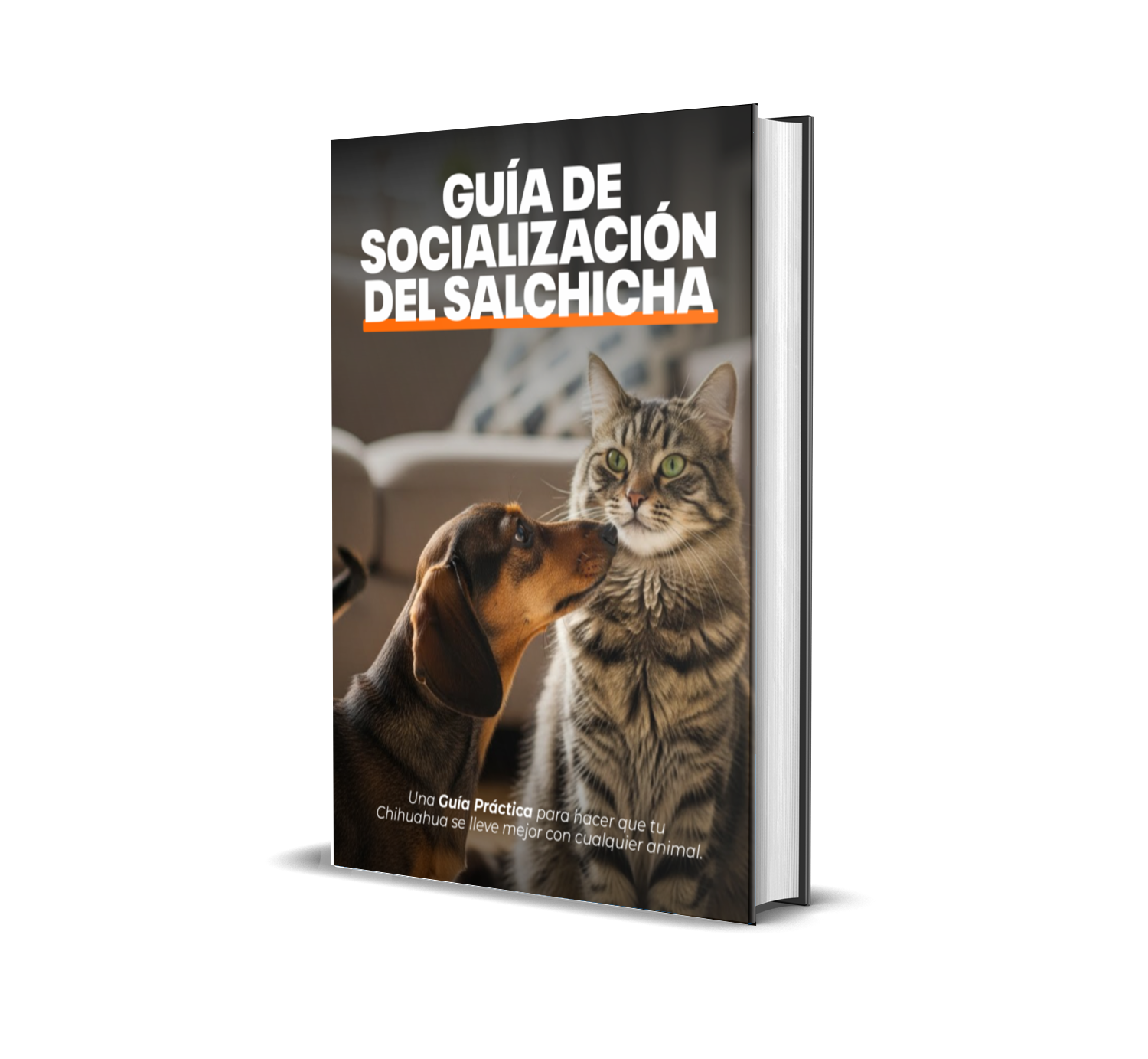 Libro: Guía de socialización del Salchicha
