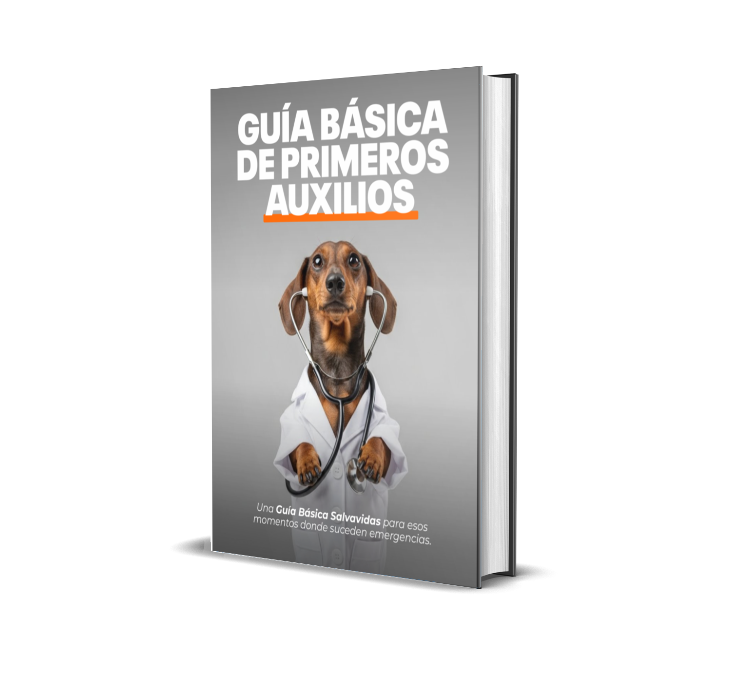 Libro: Guía básica de primeros auxilios para Salchicha